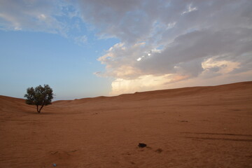 sand dunes and sky