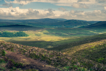 Fototapeta premium Moody Ireland nature.. Tonelagee hill view from the top. Amazing mountainous landscape in Wicklow, Ireland.