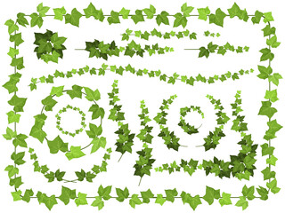 ツタ植物の装飾セット