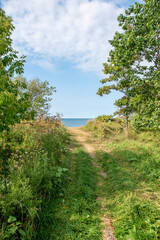 Fototapeta na wymiar A dirt path leads through a clearing in the woods towards Lake Ontario on a beautiful sunny day.
