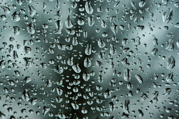 Water droplets with refraction of a tree in them