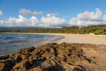 Hawaiian beach at sunrise. No people, golden sand, jungle on the right of the frame, blue sky with few white clouds, lava rock in foreground.