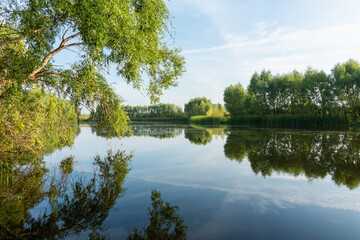 Perfectly smooth water surface on lake in the forest. Summer landscape. Glassy lake.