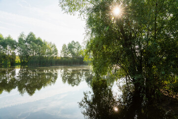 Obraz premium Perfectly smooth water surface on lake in the forest. Summer landscape. Glassy lake.