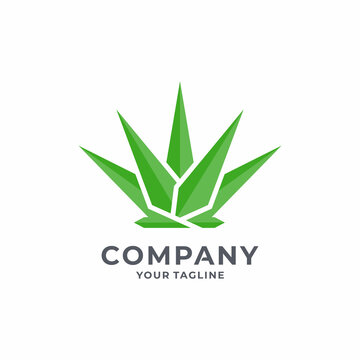 Creative  Agave Logo Design Vector