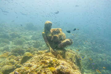 フィリピン、セブ島近くのマクタン島でダイビングしている風景 Scenery of diving in Mactan Island near Cebu, Philippines. 