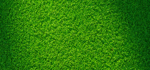 Obraz premium Green grass background, football field 