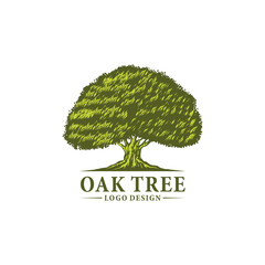 Oak tree icon vector logo