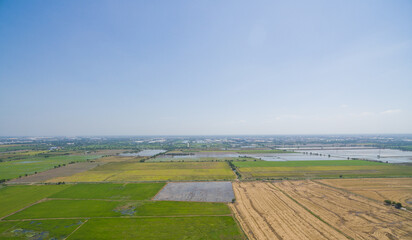 aerial view from flying drone of Field rice with landscape green pattern nature background, top view field rice
