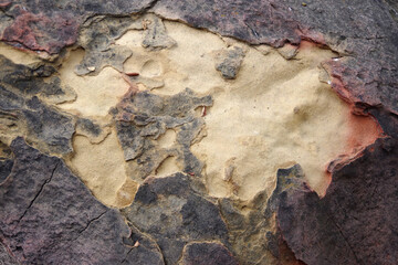 Colorful surface of a weathered sandstone boulder