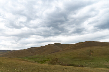 Endless steppe in the valley at the foot of the mountains, bathed in bright sunlight. Amazing view on  green mountains. mountain, covered with green trees, under a blue sky with clouds.