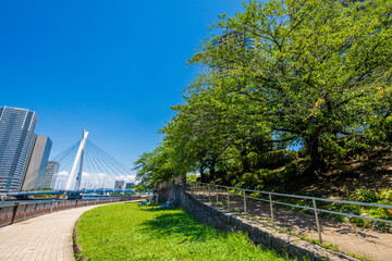 佃公園