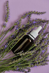Lavender essential oil.Glass bottle and lavender flowers .Organic pure essential oil.Organic natural essential oil.Natural bio cosmetics. 