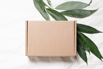 Brown cardboard carton box with fresh tree branch, ecological package