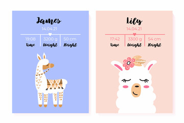 A set of children's posters, height, weight, date of birth. Lama - obrazy, fototapety, plakaty