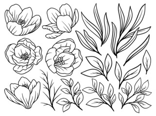 Hand drawn flower sketch line art illustration set.