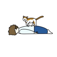猫に踏まれる