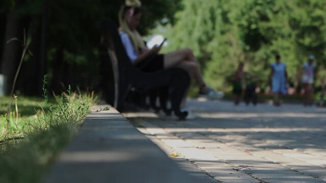 Summer park - a person in a wheelchair comes close to a curb and stops