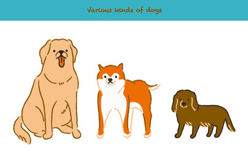 大型・中型・小型の犬