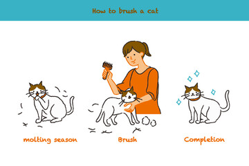 猫をトリミングする流れ