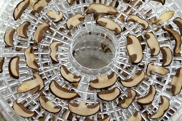 Dried boletus mushroom, Imleria badia. Drying freshly picked and cut mushrooms in the dryer.