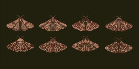 Collection of decorative fantastic moth. Wings covered with ornaments. Vector illustration isolated on dark background