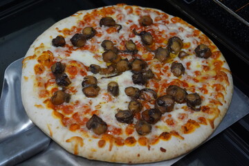 イタリアンピザ　スモークホタテマルゲリータ