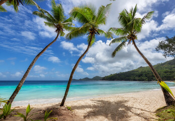 Coco palms and beautiful sea in amazing tropical Anse Takamaka beach on Seychelles paradise island.