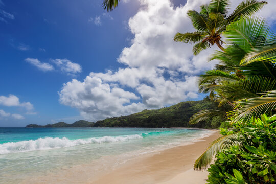 Sunny white sand beach with coconut palm and turquoise sea. Summer vacation and tropical beach concept. © lucky-photo