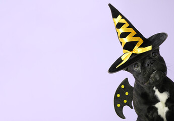 Funny dog with Halloween decor on color background