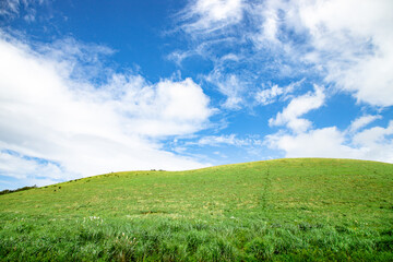 Obraz premium 제주