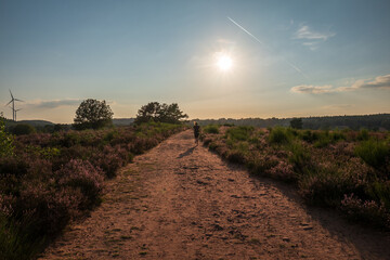 path in the heath
