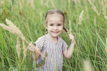 A cute little girl in a dress on a wheat field with spikelets in summer, holding a bouquet of spikelets in her hands, looks at the camera and smiles, holding her pigtail with her hand. Nature