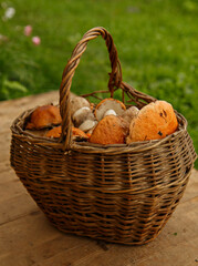 Mushrooms in wooden basket on wooden boards