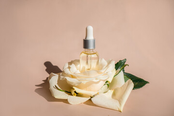 Aromatherapy. White blossom and petals, rose essential oil in glass bottle.