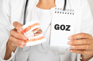 Eine Zahnärztin hält ein Modell eines Gebiss und einen Notizblock in der Hand auf dem GOZ steht