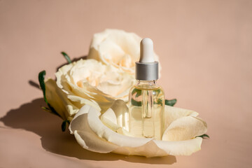 Aromatherapy. White blossom and petals, rose essential oil in glass bottle.
