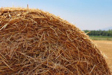 Close-up of golden hay bale  in the mowed field on summer under blue sky in the northern italian countryside