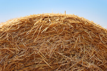 Close-up of golden hay bale  in the mowed field on summer under blue sky in the northern italian countryside © saratm