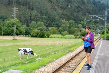 mujer consultando el movil en una estacion de tren de montaña, rodeada de pastos y vacas