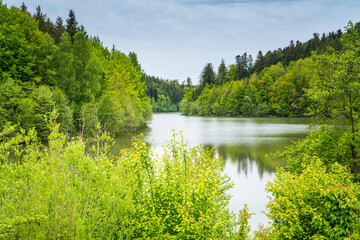 Germany, Idyllic herrenbachstausee lake surrounded by untouched green forest and nature landscape near adelberg and goeppingen