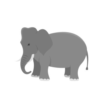 Elephant isolated on white. Vector illustration