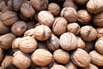 Top view of freshly harvested walnuts 