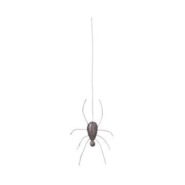 Spider is isolated on a white background. Watercolor black spider on a spiderweb illustration. Hand-drawn Halloween object. Arachnid clipart. Silhouette of creepy insect.