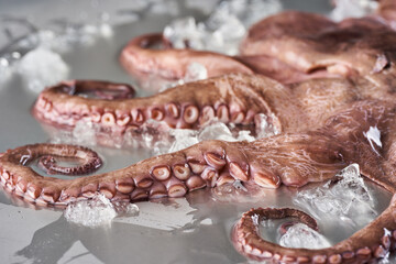 Octopus on ice on a metal board