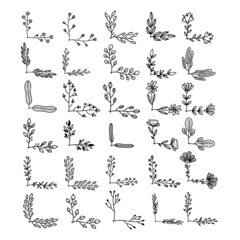 Fototapeta premium Set of hand drawn floral corners. Floral text dividers. Design element for greeting card, t shirt, poster. Vector illustration