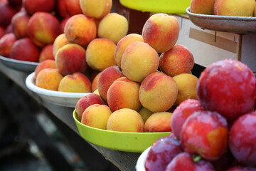 Plums, peaches and nectarine on the local farm market, eco juicy fruits. Shopping organic products. Healthy grocery. Summer autumn season market