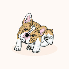 cute pet puppy french bulldog puppy vector illustration