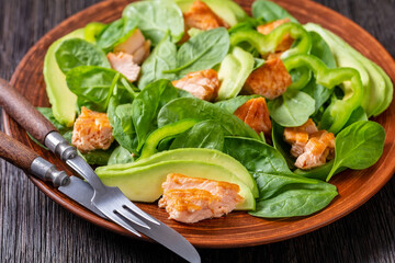 salmon spinach avocado and green pepper salad