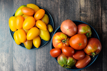Colorful yellow and red ripe tomatoes in plates on a dark wooden background. Subsistence farming concept. Flat lay. Top view.